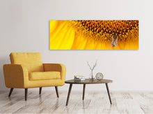 Laden Sie das Bild in den Galerie-Viewer, Leinwandbild Panorama Close up Gelbe Knospe