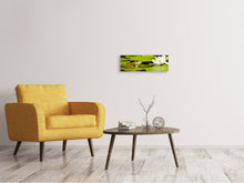 Laden Sie das Bild in den Galerie-Viewer, Leinwandbild Panorama Der Frosch und die Seerose