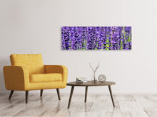 Laden Sie das Bild in den Galerie-Viewer, Leinwandbild Panorama XL Lavendel
