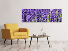 Laden Sie das Bild in den Galerie-Viewer, Leinwandbild Panorama XL Lavendel