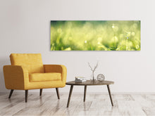 Laden Sie das Bild in den Galerie-Viewer, Leinwandbild Panorama In der Wiese