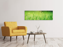 Laden Sie das Bild in den Galerie-Viewer, Leinwandbild Panorama Wiese mit Morgentau