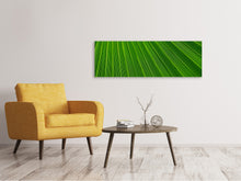 Laden Sie das Bild in den Galerie-Viewer, Leinwandbild Panorama Palm Streifen 1