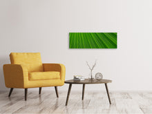 Laden Sie das Bild in den Galerie-Viewer, Leinwandbild Panorama Palm Streifen 1