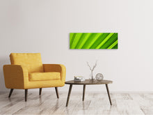 Laden Sie das Bild in den Galerie-Viewer, Leinwandbild Panorama Palm Streifen 2