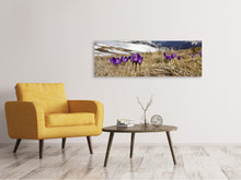Laden Sie das Bild in den Galerie-Viewer, Leinwandbild Panorama Lila Krokus