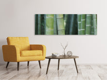 Laden Sie das Bild in den Galerie-Viewer, Leinwandbild Panorama Bambus in XXL