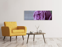 Laden Sie das Bild in den Galerie-Viewer, Leinwandbild Panorama Rose in Lila XXL