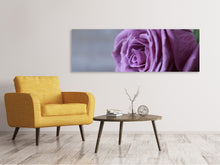 Laden Sie das Bild in den Galerie-Viewer, Leinwandbild Panorama Rose in Lila XXL