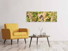 Laden Sie das Bild in den Galerie-Viewer, Leinwandbild Panorama Der Bläuling