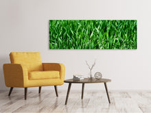 Laden Sie das Bild in den Galerie-Viewer, Leinwandbild Panorama Die Wiese in XL