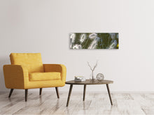 Laden Sie das Bild in den Galerie-Viewer, Leinwandbild Panorama Ziergräser in XL
