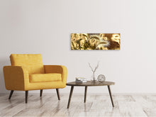 Laden Sie das Bild in den Galerie-Viewer, Leinwandbild Panorama Ziergras im Sonnenlicht