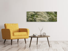 Laden Sie das Bild in den Galerie-Viewer, Leinwandbild Panorama Ziergrass im Wind