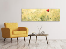 Laden Sie das Bild in den Galerie-Viewer, Leinwandbild Panorama Eine Mohnblume
