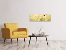 Laden Sie das Bild in den Galerie-Viewer, Leinwandbild Panorama Eine Mohnblume