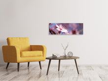 Laden Sie das Bild in den Galerie-Viewer, Leinwandbild Panorama Close up Kirschblüte