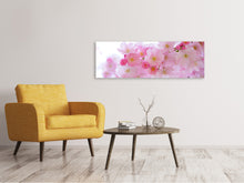 Laden Sie das Bild in den Galerie-Viewer, Leinwandbild Panorama Japanische Kirschblüte XL