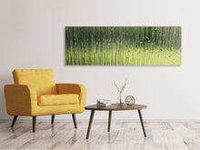 Laden Sie das Bild in den Galerie-Viewer, Leinwandbild Panorama Satiniertes Glas