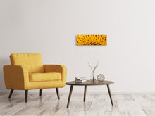 Laden Sie das Bild in den Galerie-Viewer, Leinwandbild Panorama Die Knospen der Sonnenblume in XXL
