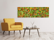 Laden Sie das Bild in den Galerie-Viewer, Leinwandbild Panorama Habichtskräuter