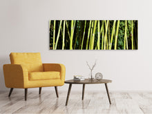 Laden Sie das Bild in den Galerie-Viewer, Leinwandbild Panorama Frischer Bambus