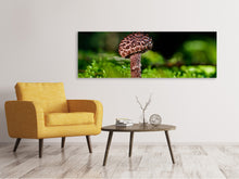 Laden Sie das Bild in den Galerie-Viewer, Leinwandbild Panorama Strobilomyces Strobilaceus