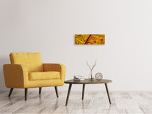 Laden Sie das Bild in den Galerie-Viewer, Leinwandbild Panorama Das Herbst Blatt