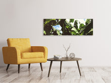 Laden Sie das Bild in den Galerie-Viewer, Leinwandbild Panorama Mitten im Dschungel