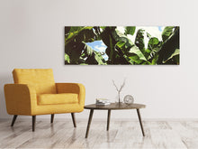 Laden Sie das Bild in den Galerie-Viewer, Leinwandbild Panorama Mitten im Dschungel