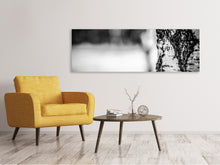 Laden Sie das Bild in den Galerie-Viewer, Leinwandbild Panorama Birken Stamm