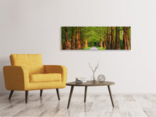 Laden Sie das Bild in den Galerie-Viewer, Leinwandbild Panorama Schöne Allee in der Natur