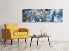 Laden Sie das Bild in den Galerie-Viewer, Leinwandbild Panorama Birkenkronen