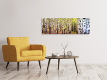Laden Sie das Bild in den Galerie-Viewer, Leinwandbild Panorama der Weg zwischen Birken