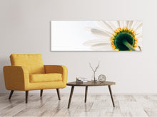 Laden Sie das Bild in den Galerie-Viewer, Leinwandbild Panorama Ein Gänseblümchen