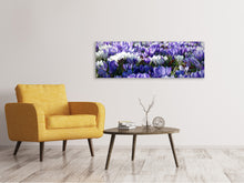 Laden Sie das Bild in den Galerie-Viewer, Leinwandbild Panorama Ein Feld voll Krokusse