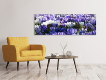 Laden Sie das Bild in den Galerie-Viewer, Leinwandbild Panorama Ein Feld voll Krokusse