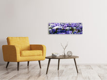 Laden Sie das Bild in den Galerie-Viewer, Leinwandbild Panorama Ein Feld voll Krokusse