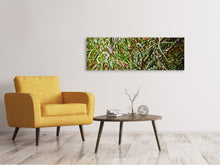 Laden Sie das Bild in den Galerie-Viewer, Leinwandbild Panorama Rosmarin XXL
