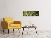 Laden Sie das Bild in den Galerie-Viewer, Leinwandbild Panorama Rosmarin XXL