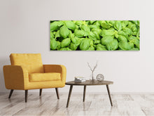 Laden Sie das Bild in den Galerie-Viewer, Leinwandbild Panorama Alles Basilikum