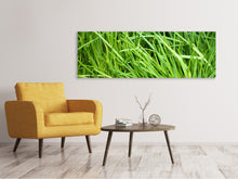 Laden Sie das Bild in den Galerie-Viewer, Leinwandbild Panorama Frischer Schnittlauch XL