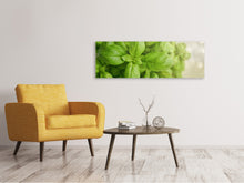 Laden Sie das Bild in den Galerie-Viewer, Leinwandbild Panorama Ein Strauss Basilikum