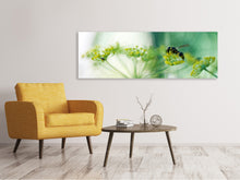 Laden Sie das Bild in den Galerie-Viewer, Leinwandbild Panorama XXL Pastinak