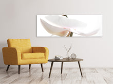 Laden Sie das Bild in den Galerie-Viewer, Leinwandbild Panorama XXL Orchideenblüte