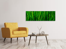 Laden Sie das Bild in den Galerie-Viewer, Leinwandbild Panorama Gras mit Morgentau