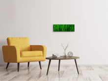 Laden Sie das Bild in den Galerie-Viewer, Leinwandbild Panorama Gras mit Morgentau