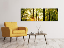 Laden Sie das Bild in den Galerie-Viewer, Leinwandbild Panorama Sonnenuntergang zwischen den Bäumen