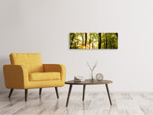 Laden Sie das Bild in den Galerie-Viewer, Leinwandbild Panorama Sonnenuntergang zwischen den Bäumen