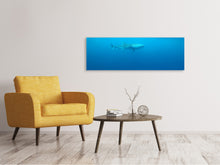 Laden Sie das Bild in den Galerie-Viewer, Leinwandbild Panorama Der Walhai